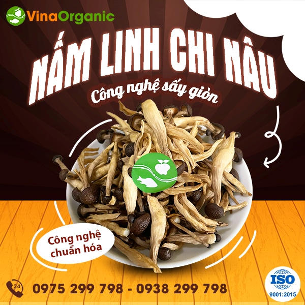 chuyen-giao-cong-nghe-nam-linh-chi-say-gion-thom-ngon-ngot-hai-hoa-1