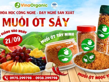 VinaOrganic cung cấp các Khóa học Công nghệ sản xuất thực phẩm, RD, với chi phí tiết kiệm, mở lớp hàng tuần. LH: 0938299798 - 0975299798